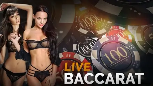 Topless Casino live baccarat